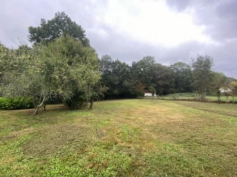 You dream of a construction in Isle, this lush land of 2376 m2 buildable in a green and wooded setting is for you. You will have the opportunity to build a house of 300 m2. All connections are on the edge of the plot (water, electricity and telecom) ...