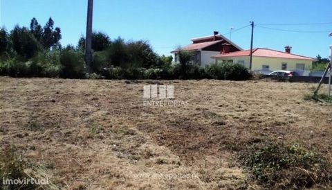 Sale of Construction Land, Village of Punhe, Viana do Castelo. Land for construction with a total area of 6,800 m². Ref.: VCC08524 FEATURES: Land Area: 6 800 m2 Area: 6 800 m2 Useful Area: 6 800 m2 Energy Efficiency: Exempt ENTREPORTAS Founded in 200...