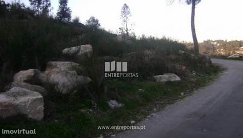Land for sale with 3 810 m2, good access and excellent panoramic view. Maureles, Marco de Canaveses. Ref.:MC02586 FEATURES: Land Area: 3 810 m2 Area: 3 810 m2 Useful Area: 3 810 m2 Energy Efficiency: Exempt ENTREPORTAS Founded in 2004, the ENTREPORTA...
