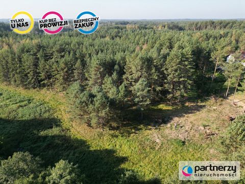 Habitat plot 15 257m2 with RIVER ACCESS in Chojnice district, commune: Czersk, Gotelp precinct No. 523/11 The plot on the extract consists of RVI 2300m2 ŁV 3425m2 PszVI 4782m2 Ls V 4250m2 Zoning conditions have been issued for the plot for: construct...