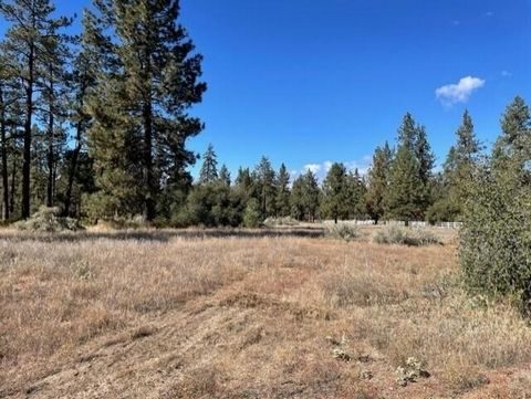 Prime Lot in pristine Garner Valley. Wonderful golden meadows dotted with towering pine trees. All flat and usable and ready for a dream home. This is a choice lot location with plenty of possibilities for a beautiful estate. The adjacent 4.74 acre l...