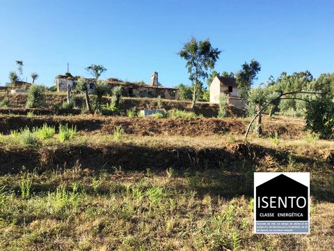 An exciting project for rebuilding a 3-bedroomed family home with 3 independent dwellings, suitable for Rural Tourism, situated close to Ferreira do Zezere. This property is in a beautiful and peaceful area under 10 minutes from Ferreira do Zezere an...