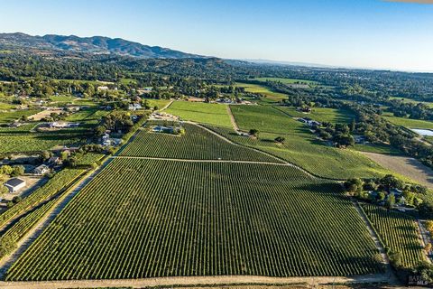 Available for the first time in more than 40 years, this rare offering features a prime income producing 19.03 +\- acre Cabernet Sauvignon vineyard, 4-bedroom residence, and direct frontage on Hardman avenue providing opportunities for future winery ...
