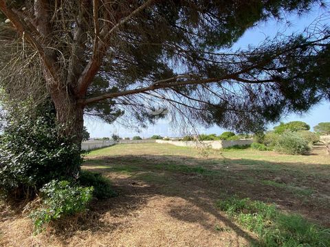 STRUDA' (VERNOLE) - LECCE - SALENTO In Strudà, hamlet of Vernole located just 7 km from the Adriatic coast, we offer for sale a large building plot of almost 5,000 sqm. In the General Urban Plan of the Municipality of Vernole the land is included in ...