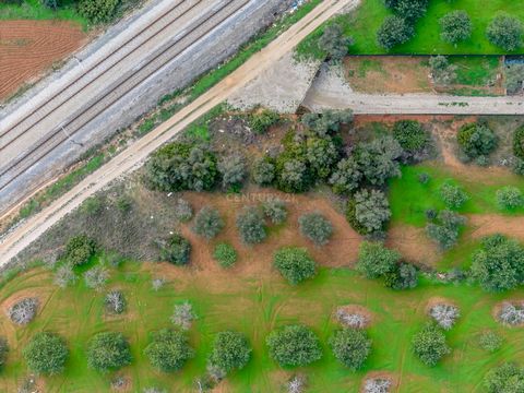 Terrain rustique situé à Boliqueime, d’une superficie totale de 950m². Ce terrain présente plusieurs caractéristiques avantageuses pour ceux qui souhaitent investir ou développer un projet dans ce secteur. LES TERRES AGRICOLES ET LA CONSTRUCTION NE S...