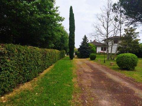 photo no. 1