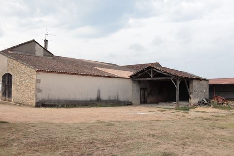 photo no. 15