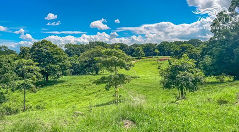 Landgebruik: Commercieel (75% van het land kan worden gebruikt) Ontdek een uitzonderlijke kans met dit uitgestrekte landgoed van 190 hectare, ideaal gelegen op slechts enkele minuten van de levendige locaties Santa Teresa en Playa Hermosa . Dit land ...