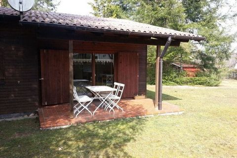 Cozy, very quiet holiday home in Ludwigswinkel for up to 5 people in an idyllic location, pure nature!