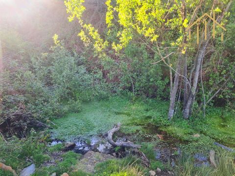 La terra sul monte San Macario con un ruscello Il terreno si trova sul pendio della catena montuosa di São Macário e ha 10.000 m2. Ha alcuni pini, alberi di eucalipto e cespugli. I ruscelli attraversano la terra, sulle pendici della collina. Il luogo...