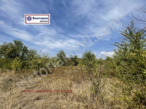 La proprietà si trova nel villaggio di Tserova Koria, a cui si accede dalla città di Shumen. Veliko Tarnovo è su una nuova strada. Si tratta di un terreno meridionale di 2200 mq. Il terreno è meridionale e lo spostamento è molto leggero. L'elettricit...