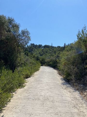 Paxos, Antipaxos, Terreno in Vendita, 8.000mq, con edificio Caratteristiche: Per lo sviluppo, Per investimento, Livello, Per lo sfruttamento turistico, Prezzo: 1.300.000€. REMAX PLUS, Tel. Contatto: ... , e-mail: ... Terreno in vendita ad Antipaxos. ...