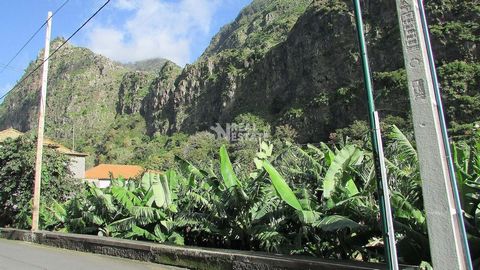 Terrain agricole de 460M2 sur le bord de la route à Meia-Légua - Ribeira Brava Avec plusieurs arbres fruitiers : -Banane - Annoneiras - Goyaviers -Tuyaux -Orangers À 5 minutes en voiture de Ribeira Brava où vous trouverez tous les services et espaces...