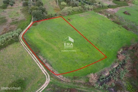 Rustic land with about 3300m2 located in the center of Urqueira. Located in a rural area, this land has an excellent sun exposure all day, a well and the fact that it is all flat, is ideal for the placement of a removable house or simply for agricult...