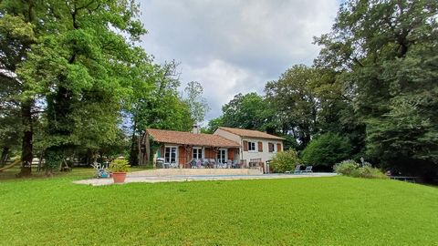 Très belle maison d'architecte située à 10 minutes de Limoges sur la commune de Verneuil sur Vienne . Elle est composée d'une grande pièce de vie lumineuse donnant sur la terrasse avec vue sur la piscine , de beaux volumes et un cantou majestueux ave...