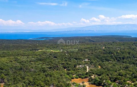 Location: Primorsko-goranska županija, Mali Lošinj, Punta Križa. LOŠINJ, MALI LOŠINJ - Olivenhain 400 Meter vom Meer entfernt. Das Cres-Lošinj-Archipel liegt in der nördlichen Adria in der Kvarner-Bucht, wo man die Sterne am schönsten sehen kann, wo ...