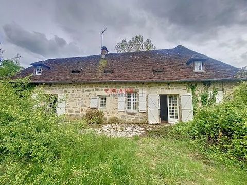 10 minutes from BEAULIEU-SUR-DORDOGNE and 10 minutes from MEYSSAC, in a hamlet, quiet, on about 5783 m² of wooded land, set of a stone house (188 m²) and an old barn (76 m²) restored as a gîte. The main house (188 m² hab) is built on a complete basem...