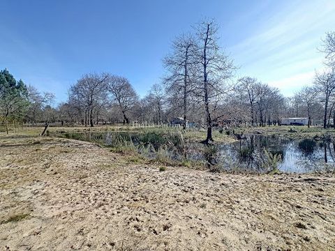 Terrain idéalement placé sur une zone NL (Nature et Loisirs), au calme et sans nuisances sonores. Si vous avez un projet orienté Nature et Loisirs, sur le Bassin d'Arcachon, ce terrain vous attend! En partie boisé, il comporte aussi une partie un peu...