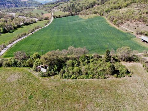 Alpes de Haute-Provence : Timothée THONNATTE vous présente sur la commune de THOARD (04 380) ce grand terrain constructible de 4159m2 situé dans un cadre de verdure loin de l' agitation des villes et bénéficiant d' une belle exposition Sud -Ouest. Bu...