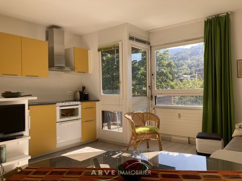 Studio sleeping area located close to the centre of the village and the departure of the gondolas to the ski area. It is composed of an entrance with a sleeping area, a living room with a wall bed, an equipped kitchenette and a balcony-terrace facing...