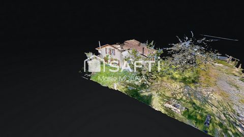photo no. 7