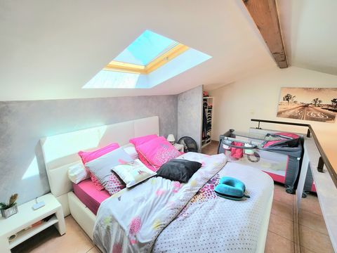 photo no. 7
