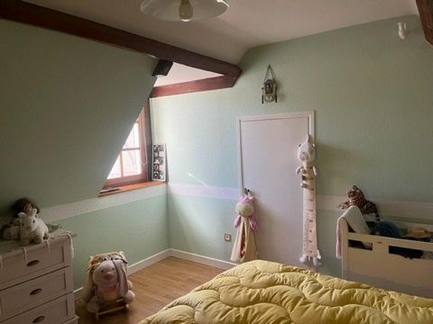 photo no. 15