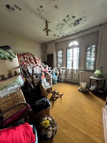 photo no. 11