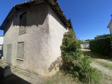 photo no. 9