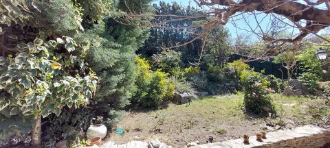 photo no. 13