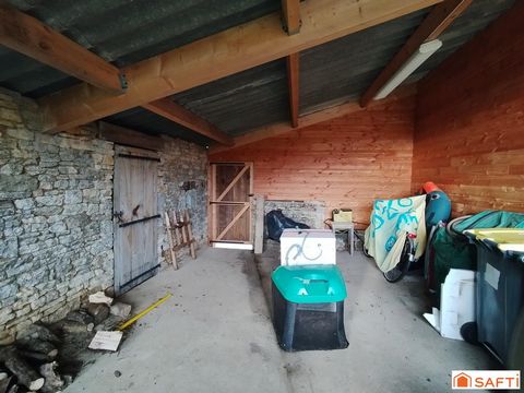 photo no. 13