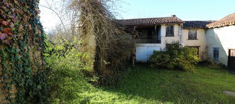 photo no. 19