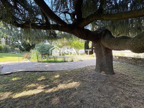 photo no. 11