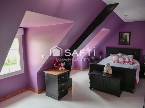 photo no. 8