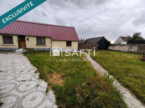 photo no. 6