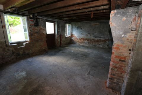 photo no. 10