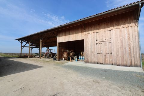 photo no. 14