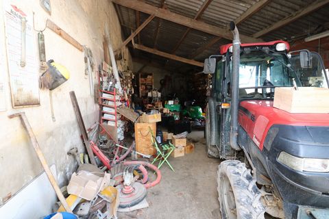 photo no. 15