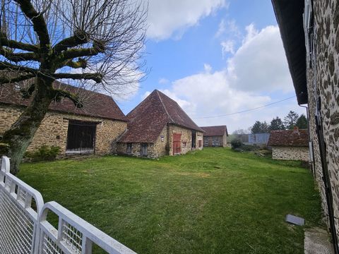 photo no. 3