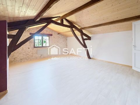 photo no. 10