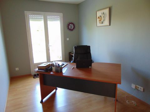photo no. 11