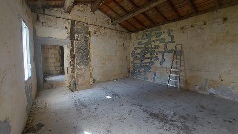 photo no. 10