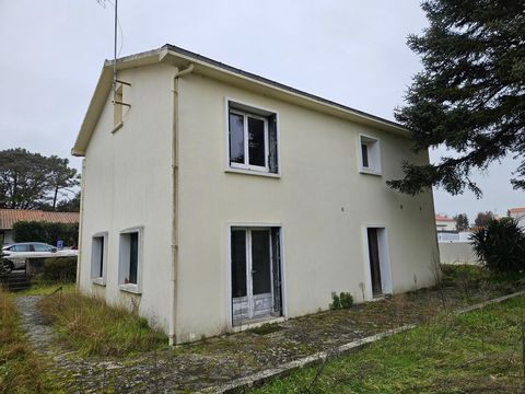 photo no. 6