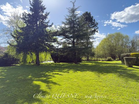 photo no. 5