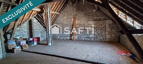 photo no. 6