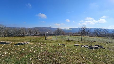 photo no. 14