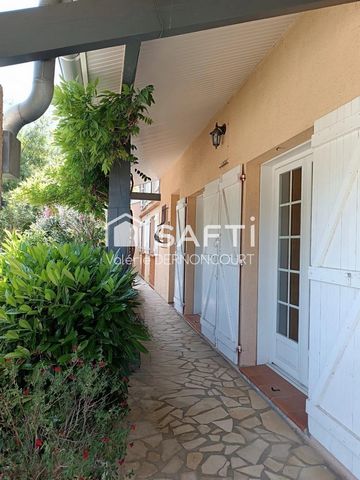 photo no. 11