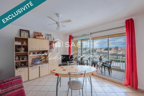 Appartement T2 vue sur le Canigou