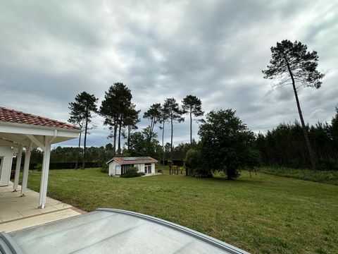 photo no. 8