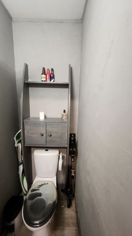 photo no. 12